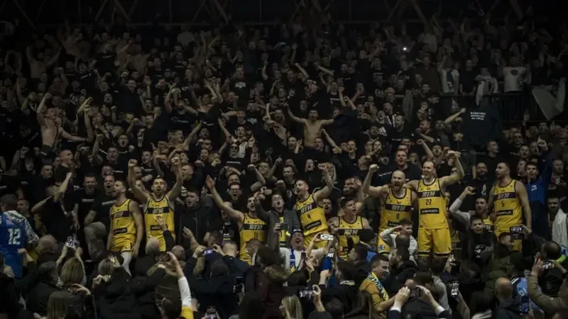Fiba dok