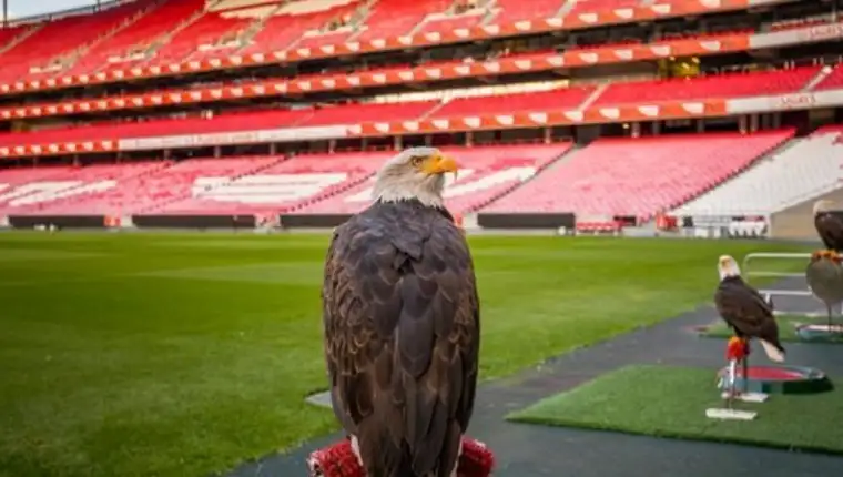 Benfica 1