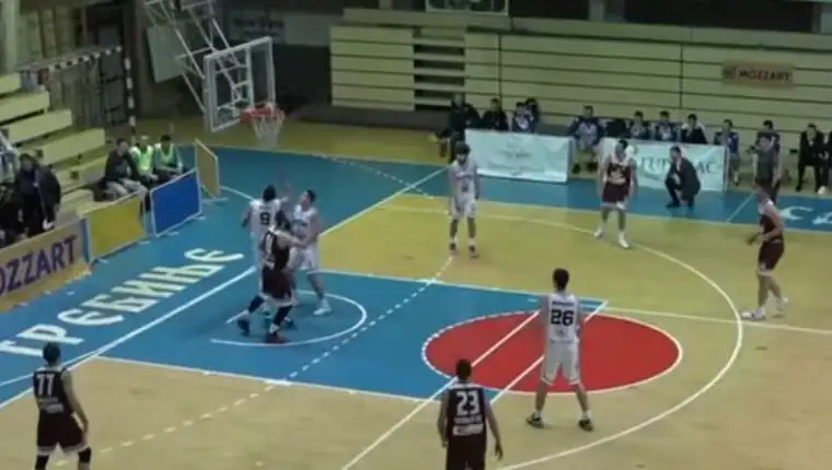Leo bos