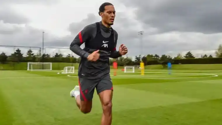 Vandijk 2