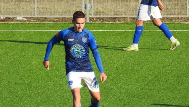 Nikodinovic