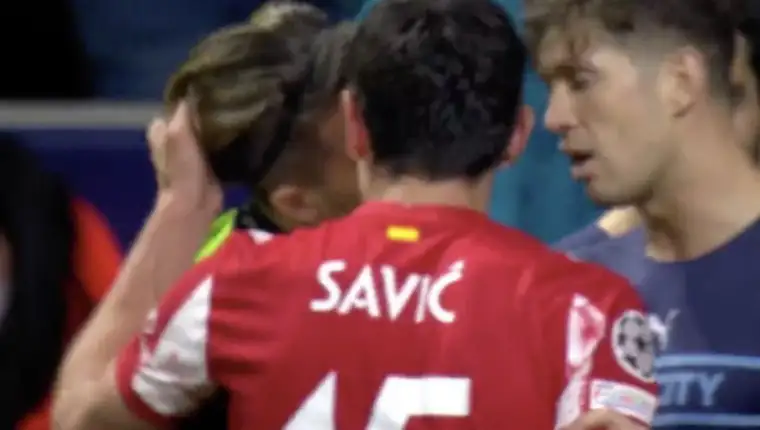 Savic 1 1