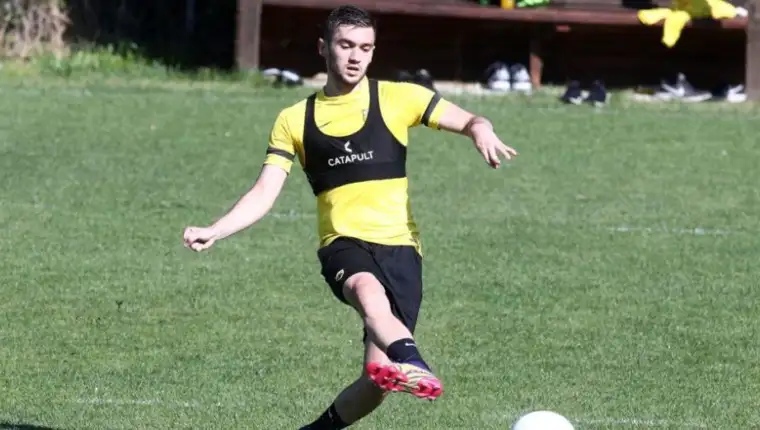 Sabanadzovic