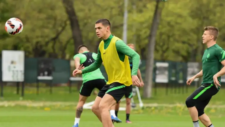 Besic 2