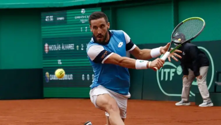 Dzumhur5
