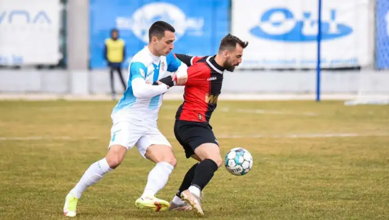 Veselinovic1