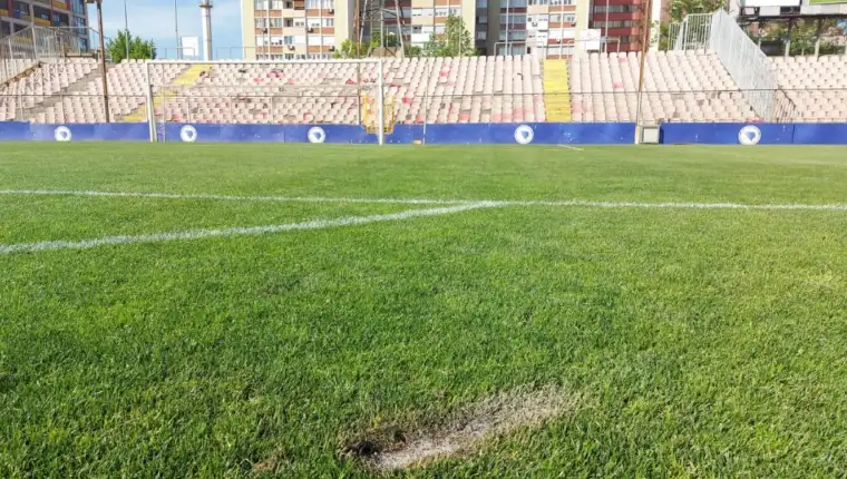 Hz steta