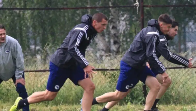 Savic 3
