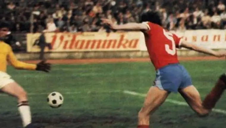 Vidacak11