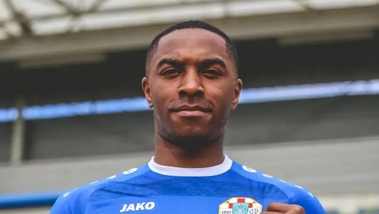 Fanimo33