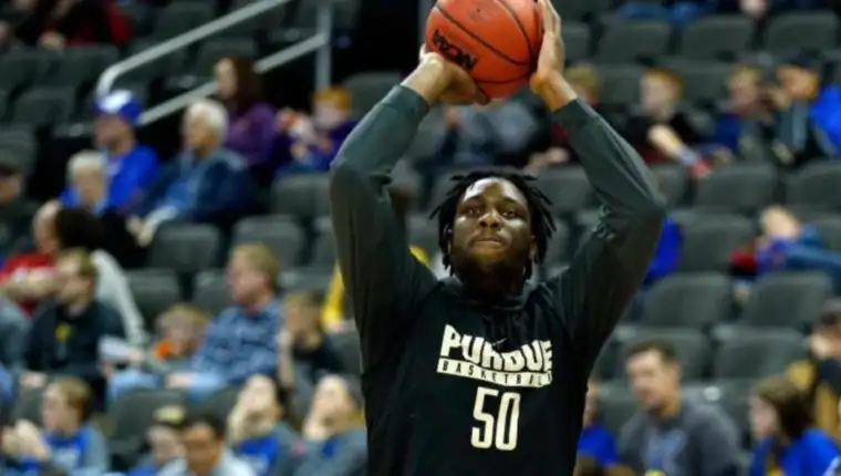 Swanigan