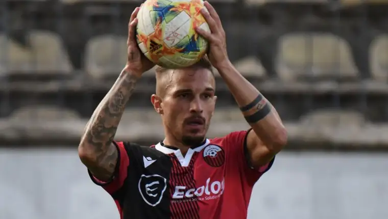 Pavic