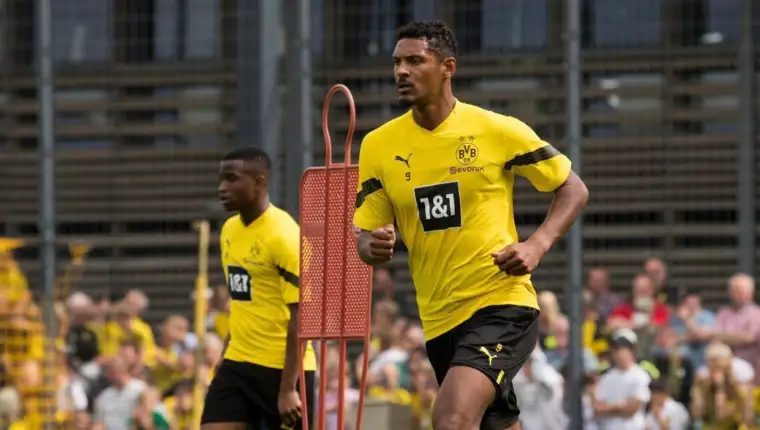 Haller 2