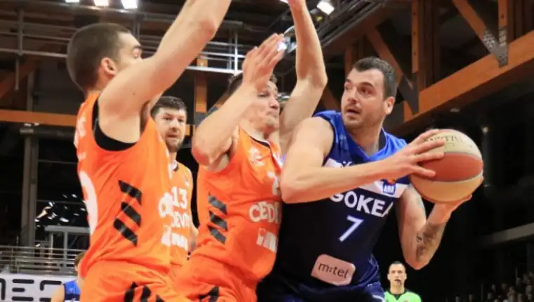 Sava lesic