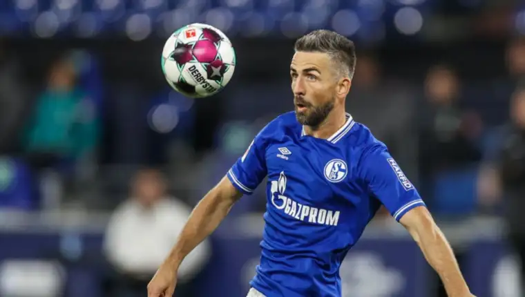 Ibisevic1