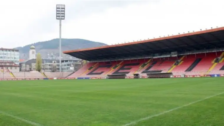 Bilino polje