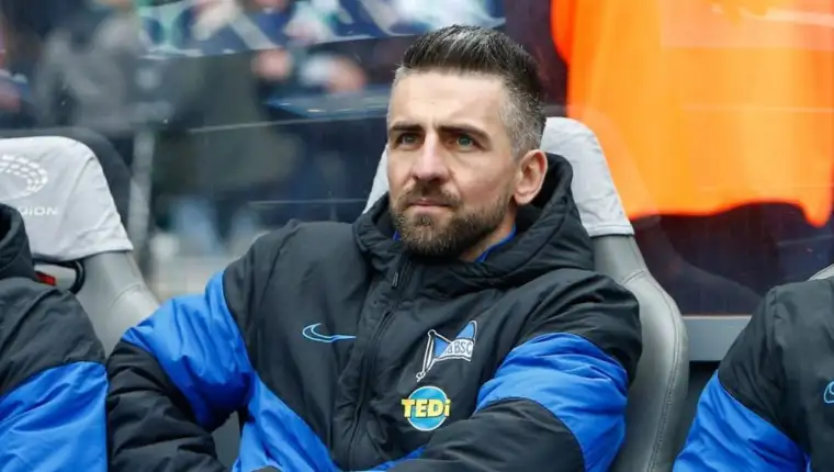 Ibisevic