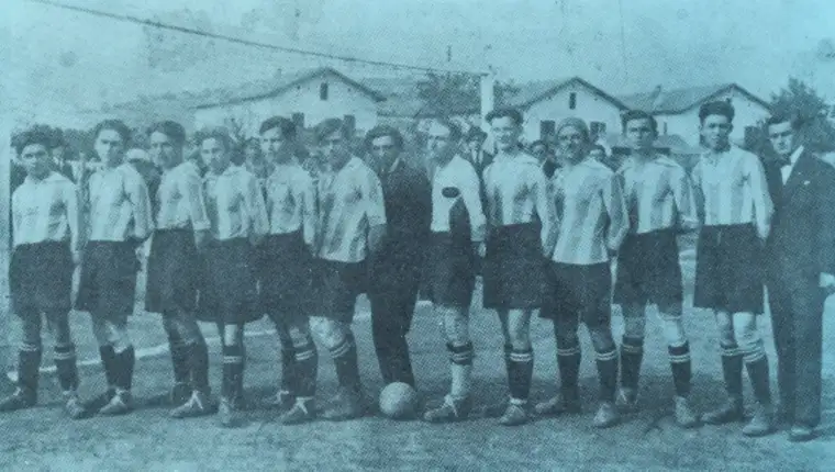 Zeljo11