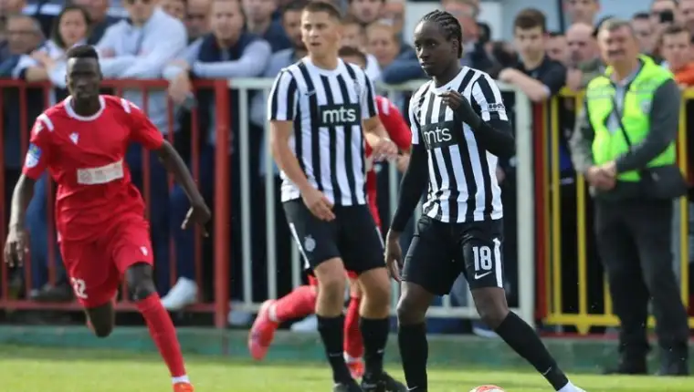 Partizanradicki