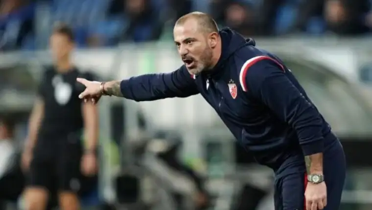 Dejan stankovic