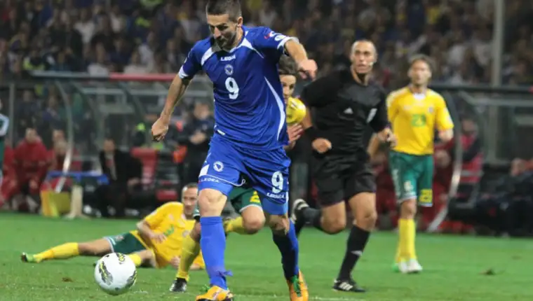 Ibisevic 1