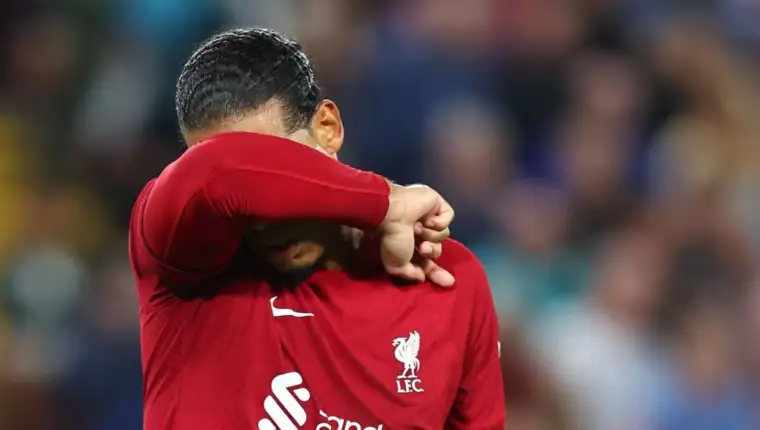 Van dijk3