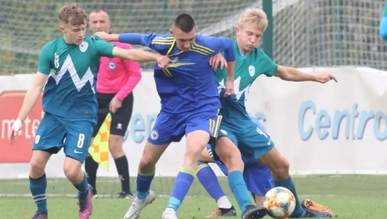 Pioniri repka