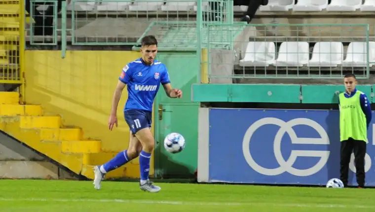Bagaric44