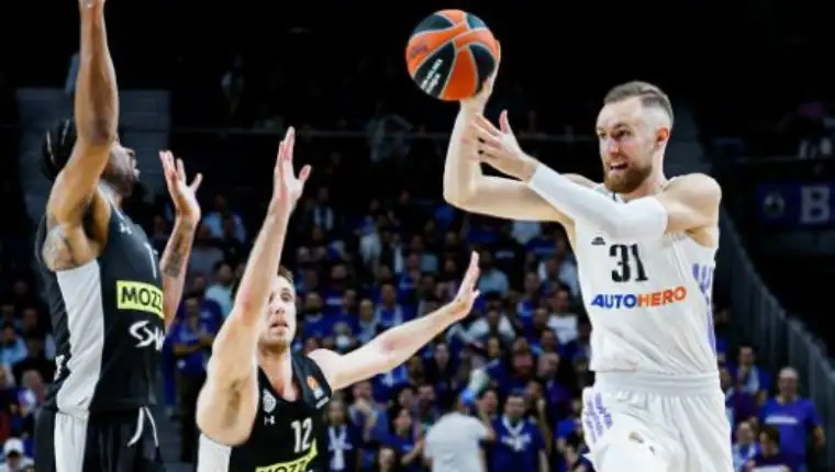 Musa partizan
