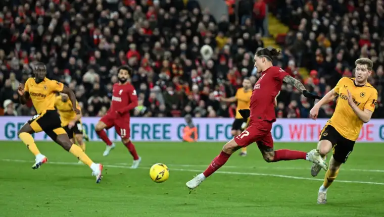 Liverpool wolves