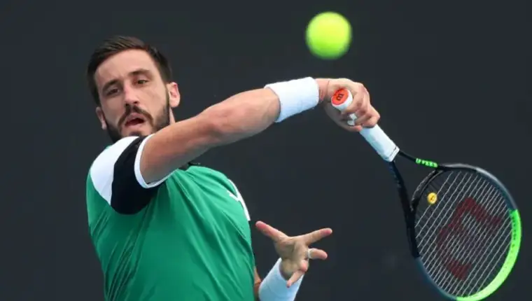 Dzumhur2
