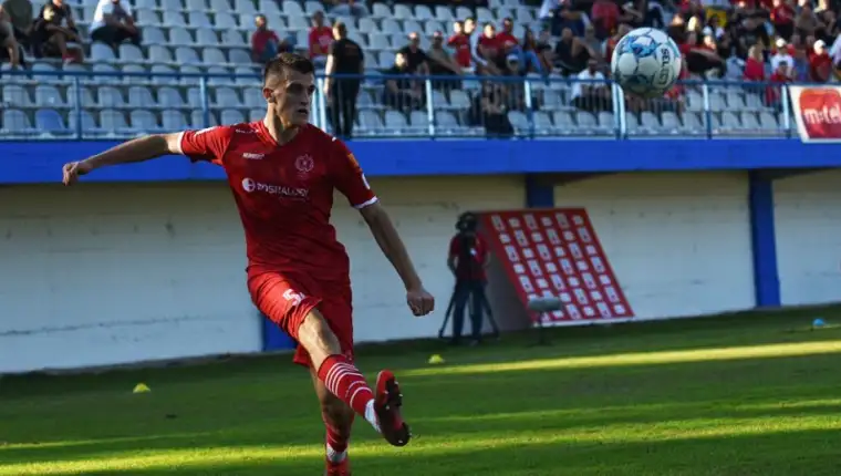 Dzean zajmovic