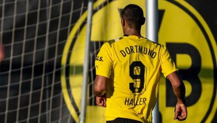 Haller golovi