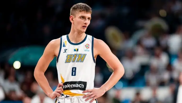 Zinedin mulic