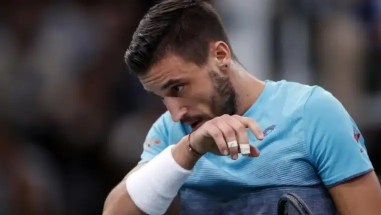 Dzumhur3