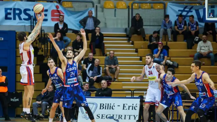 Borac cibona