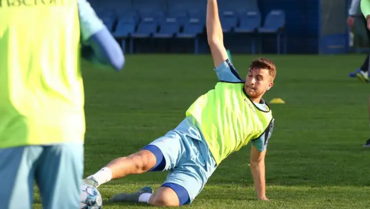 Subasic