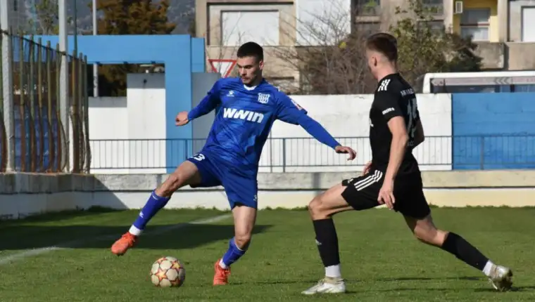 Knezevic 1