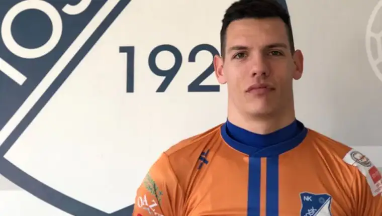 Bjelica