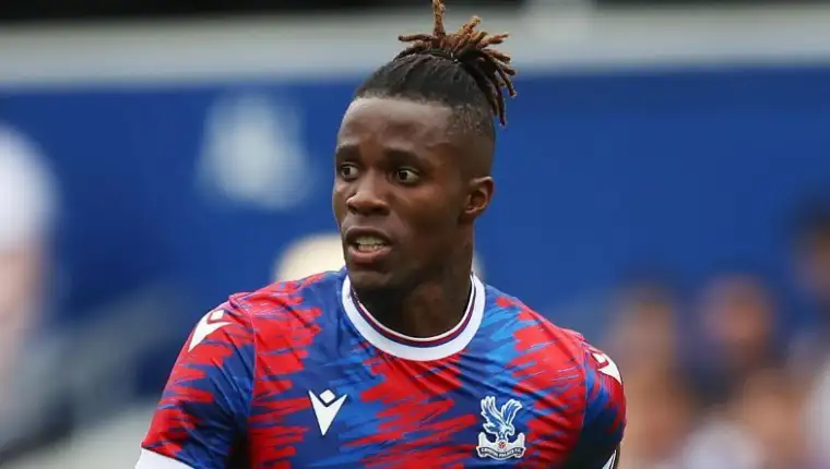 Zaha wilf