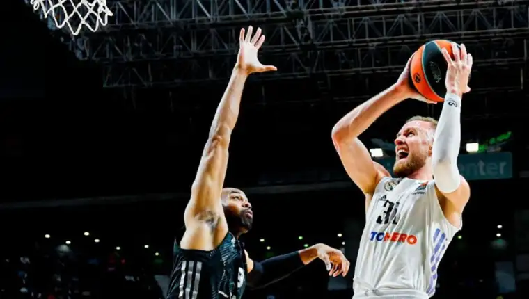 Musa asvel