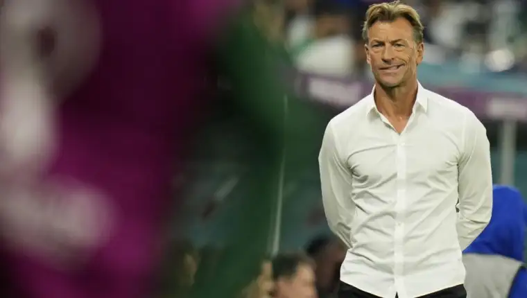 Herve renard