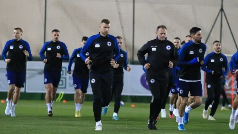 Bih repka