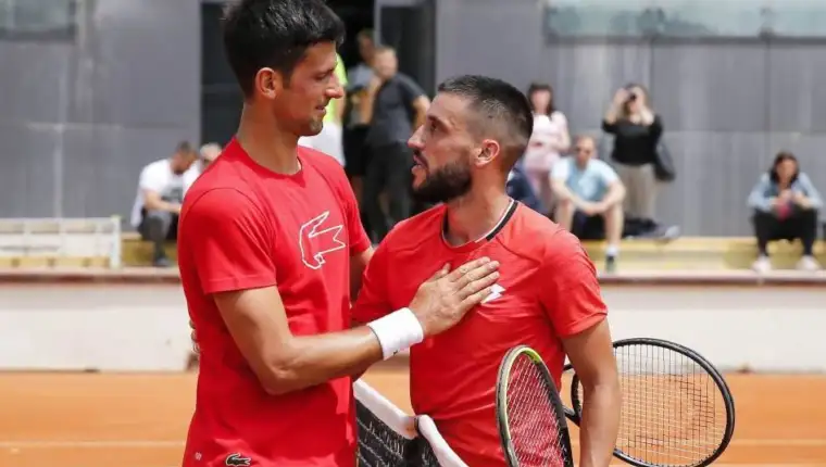 Damir dzumhur