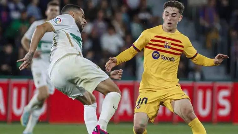 Gavi elche