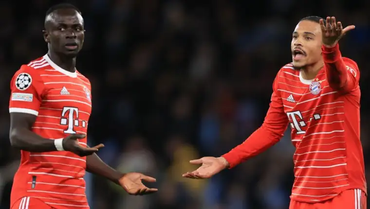 Mane and sane