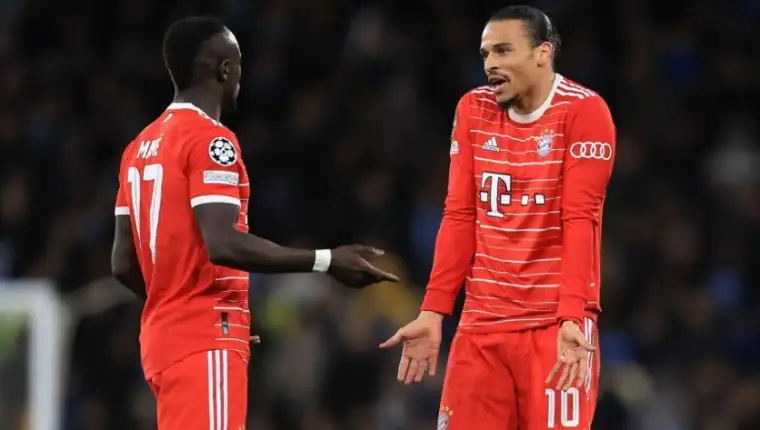 Sane mane