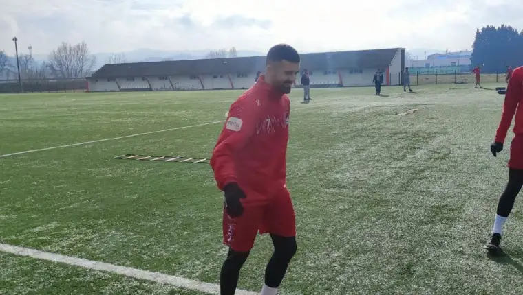 Nikola papora