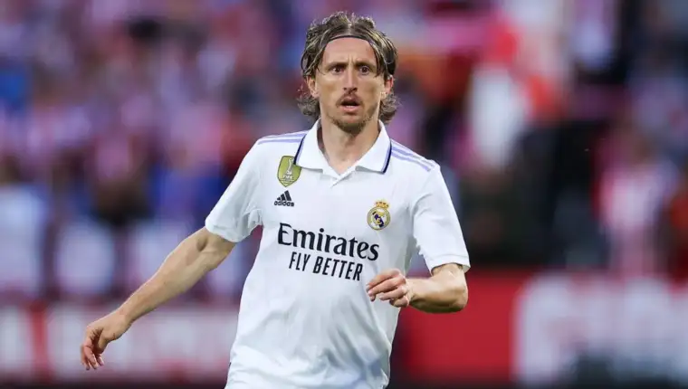 Luka modras