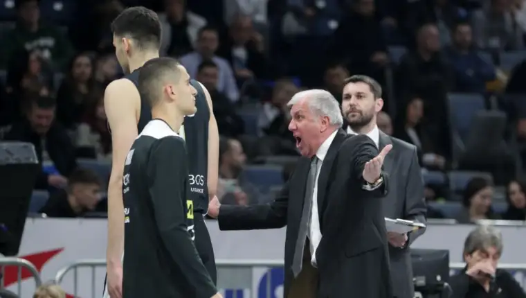 Zeljko4